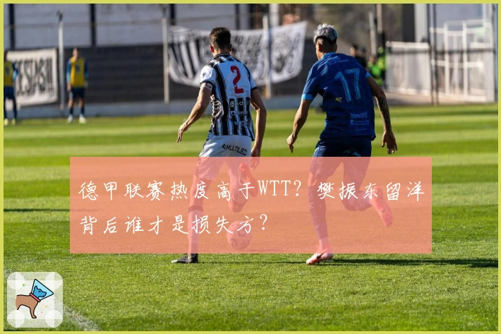 德甲联赛热度高于WTT？樊振东留洋背后谁才是损失方？