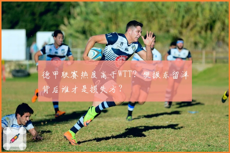 德甲联赛热度高于WTT？樊振东留洋背后谁才是损失方？